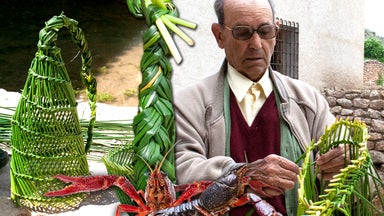 Trampas para cangrejos de río: los garlitos. Trenzado con juncos para su pesca y consumo familiar
