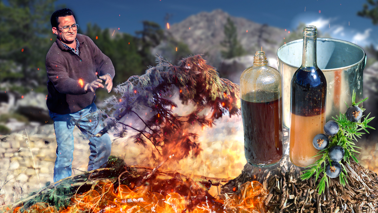 Aceite de enebro para uso medicinal y veterinario. Hornada artesanal de sus raíces en el monte