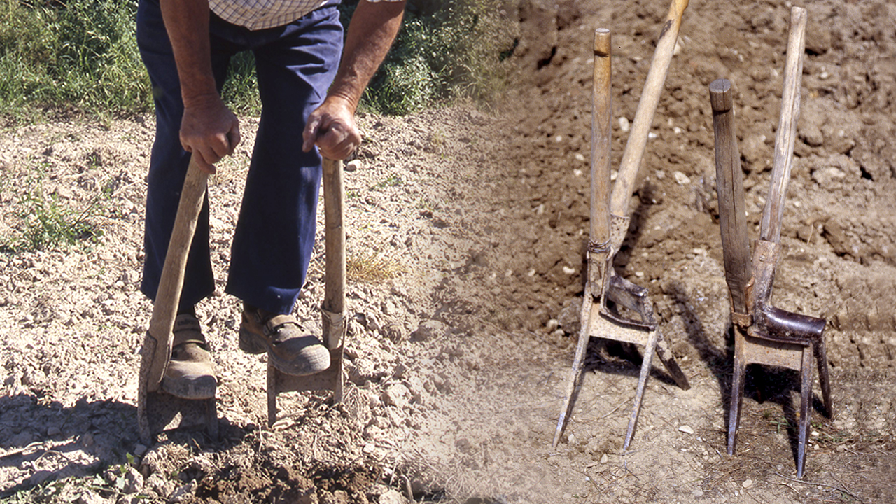 La laya agrícola. Forjado artesanal y fabricación de esta herramienta de labranza paso a paso