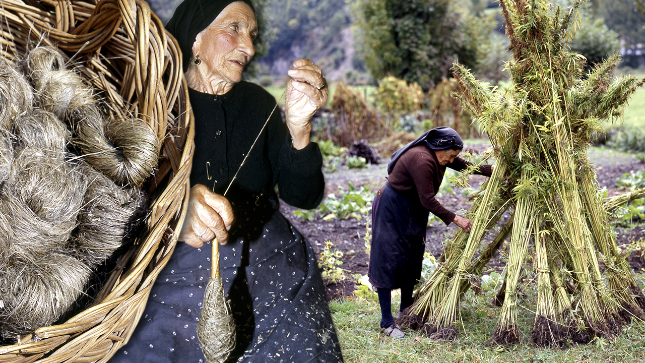 El cáñamo en el Pirineo. Cultivo y elaboración tradicional de tejidos y fibras