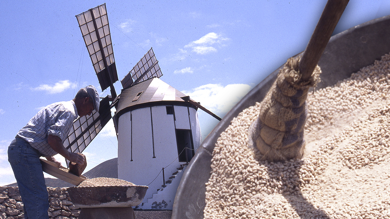El gofio. Elaboración tradicional de este alimento y su molienda con un molino de viento