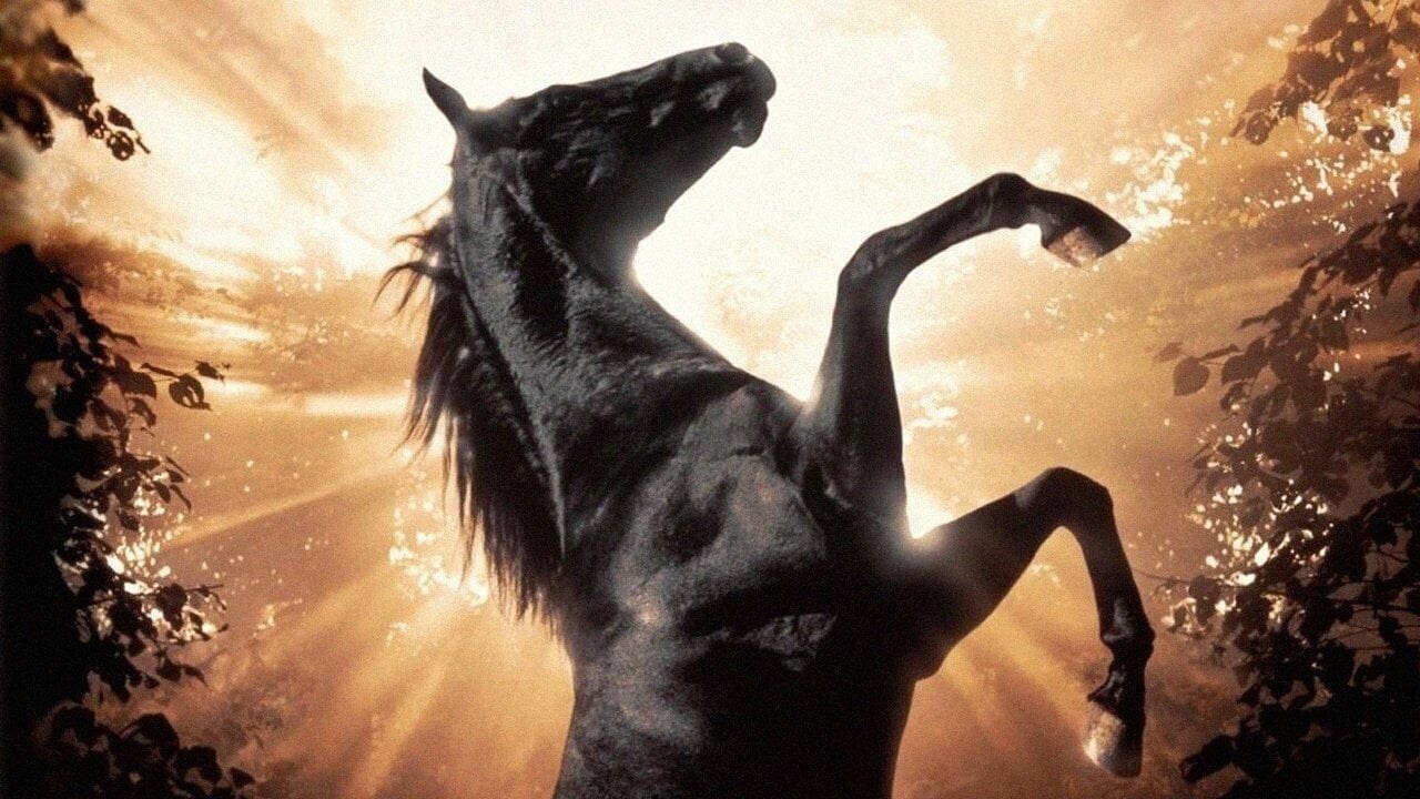 Belleza negra