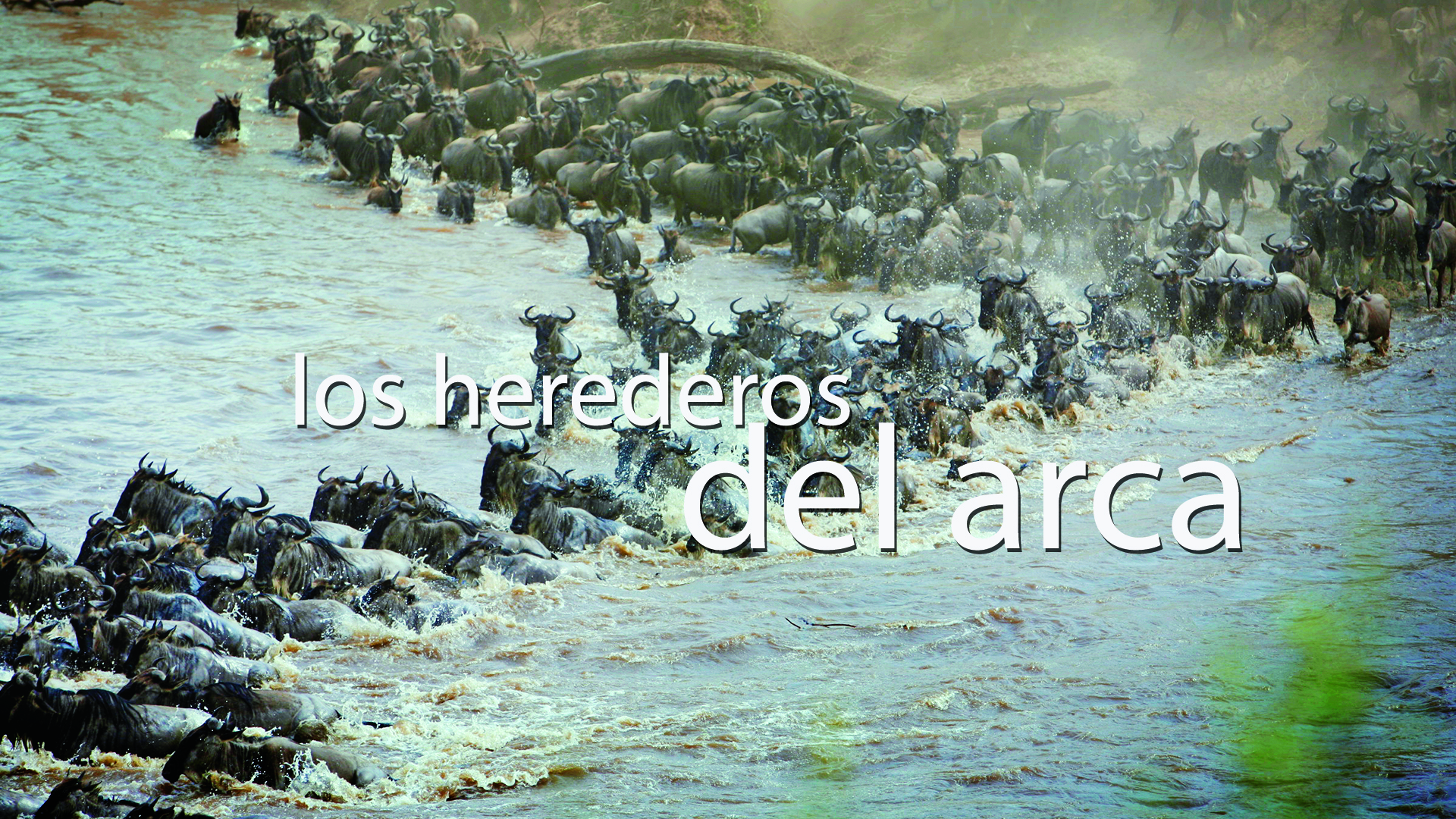 Los Herederos del Arca