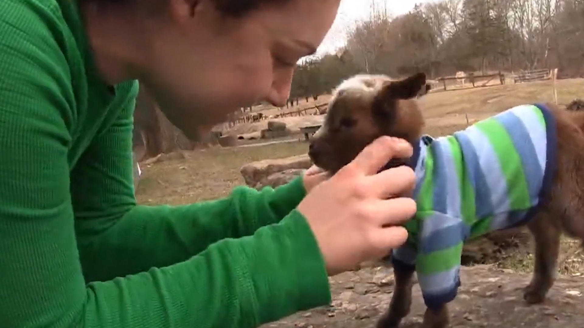 We Heart Animals